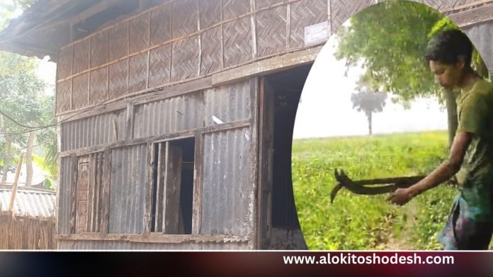 www.alokitoshodesh.com (27)