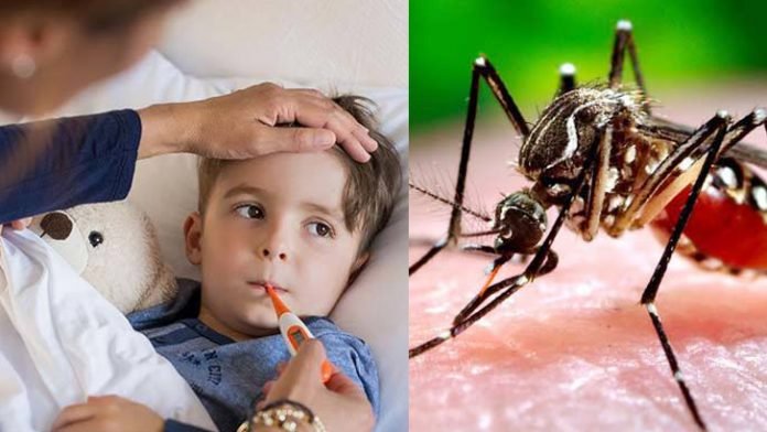 dengue65699